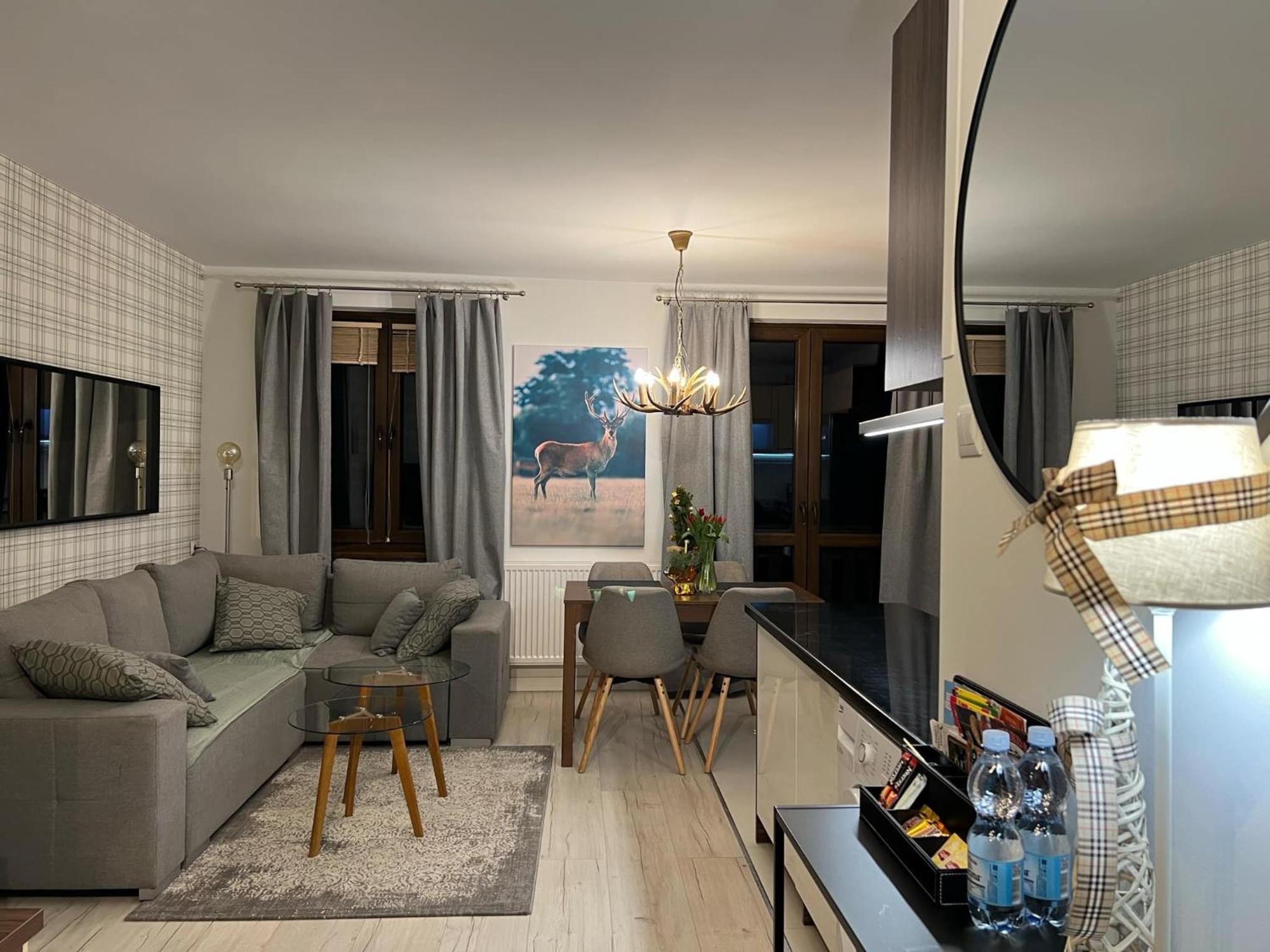 Apartament Dziki Rogacz ชซาฟนีซา ภายนอก รูปภาพ