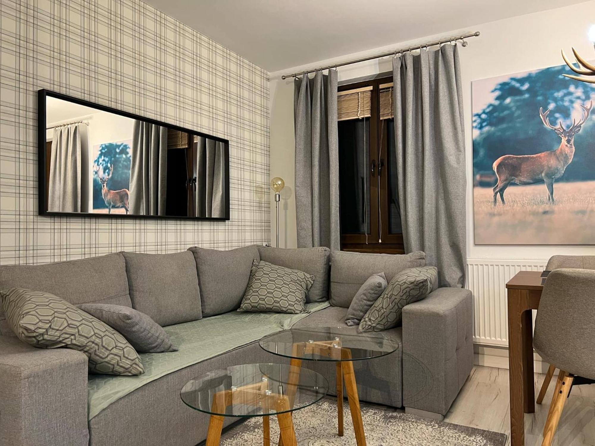 Apartament Dziki Rogacz ชซาฟนีซา ภายนอก รูปภาพ